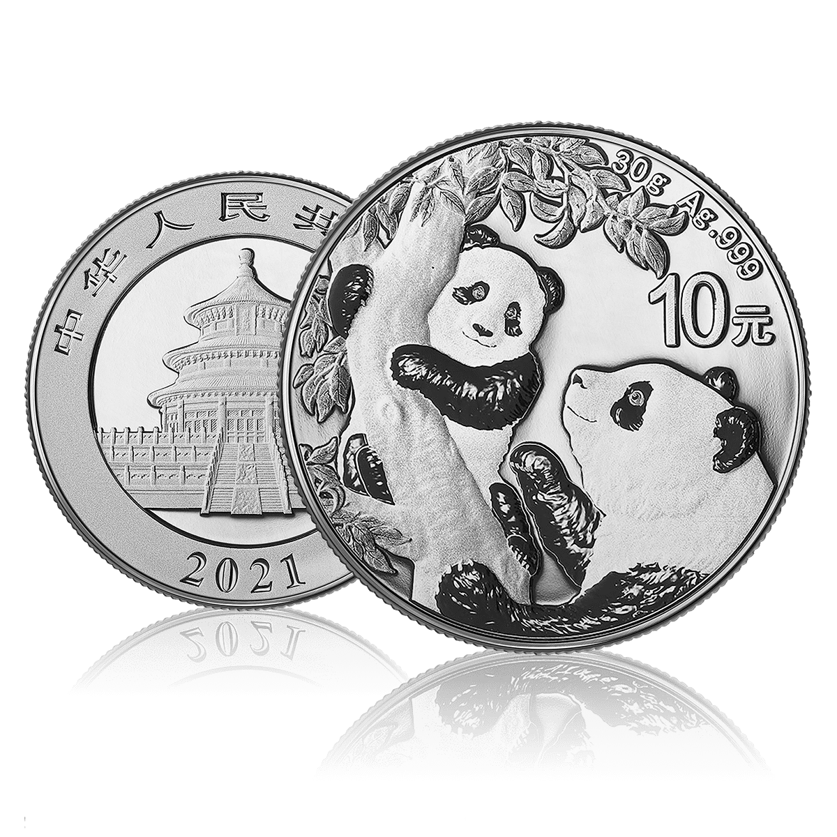 30g Silver Investment Chinese Panda (2021) 4